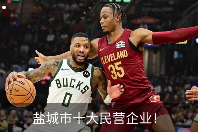 盐城市十大民营企业！